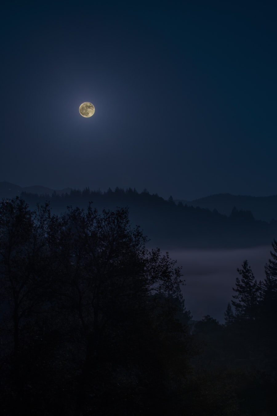 The Long Night